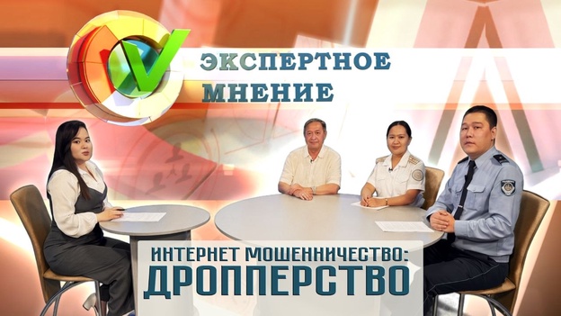 Экспертное мнение - Интернет мошенничество: дропперство