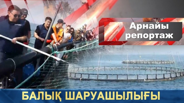 Арнайы репортаж - Балық шаруашылығы
