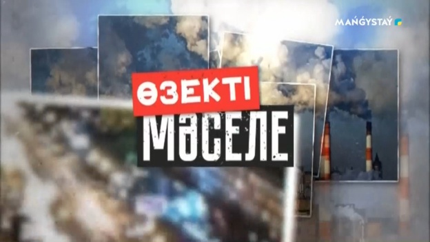 Өзекті мәселе - Ақылы мектепте оқу баланың сапалы білім алуына кепіл бола ма?