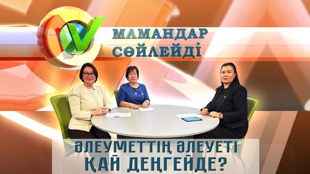 Мамандар сөйлейді - Әлеуметтің әлеуеті қай деңгейде?