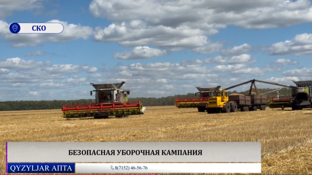 Qyzyljar апта: 
