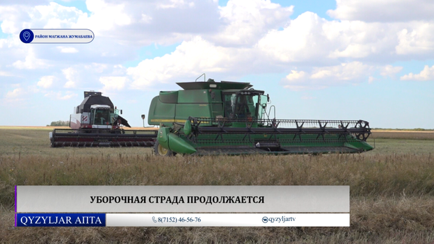 Qyzyljar апта: 