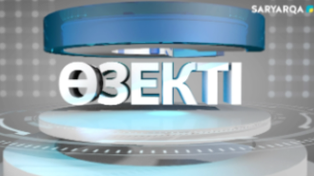 Өзекті | Тұрмыстық зорлық-зомбылықтың алдын-алу