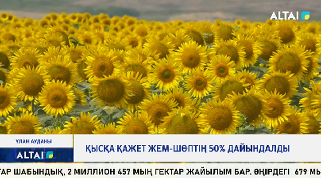 Қысқа қажет жем-шөптің 50% дайындалды