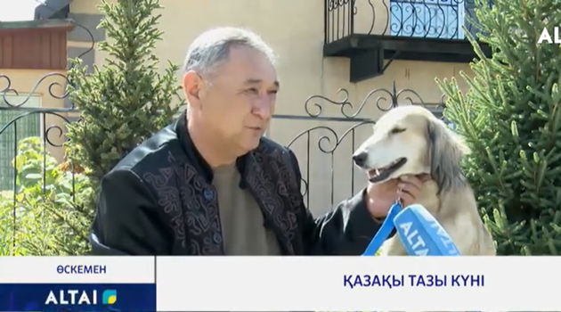 Қазақы тазы күні