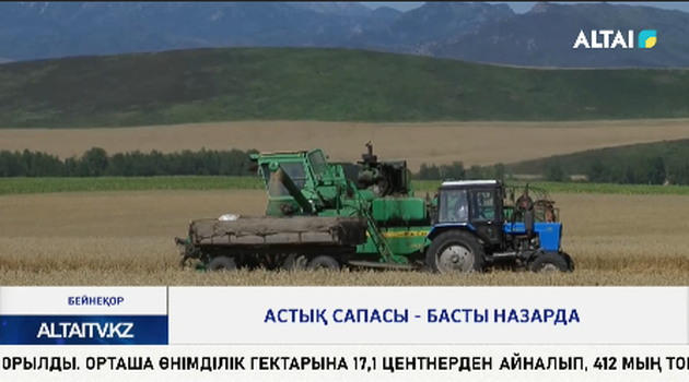 Астық сапасы - басты назарда