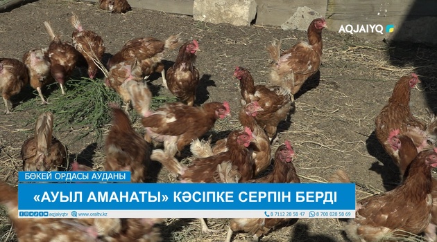 «АУЫЛ АМАНАТЫ» КӘСІПКЕ СЕРПІН БЕРДІ 