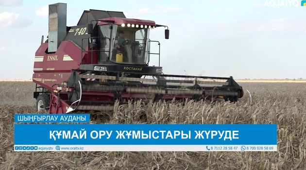 ҚҰМАЙ ОРУ ЖҰМЫСТАРЫ ЖҮРУДЕ 