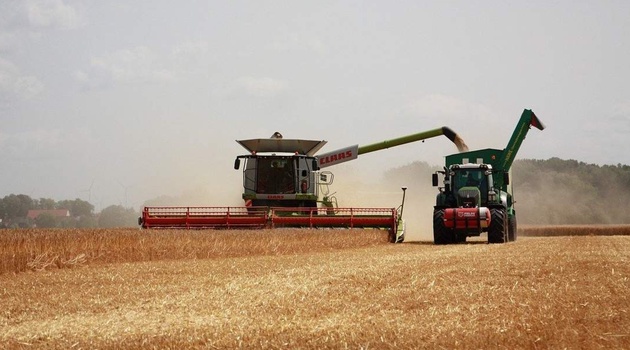 АЙМАҚТА ДӘНДІ ДАҚЫЛДАРДЫҢ 63%-Ы ЖИНАЛДЫ