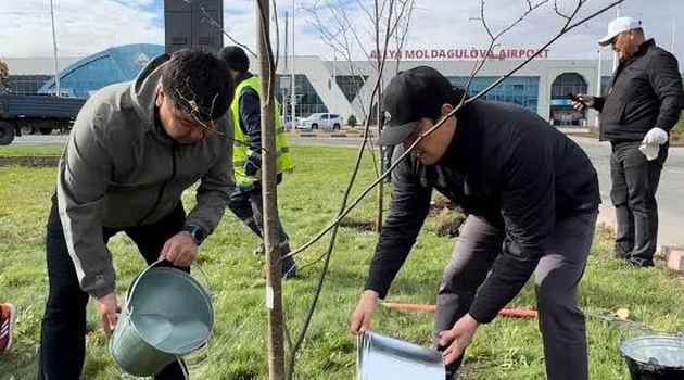 "ТАЗА ҚАЗАҚСТАН": ӘУЕЖАЙ АЛДЫНА 170 ЖӨКЕ АҒАШЫ ОТЫРҒЫЗЫЛДЫ