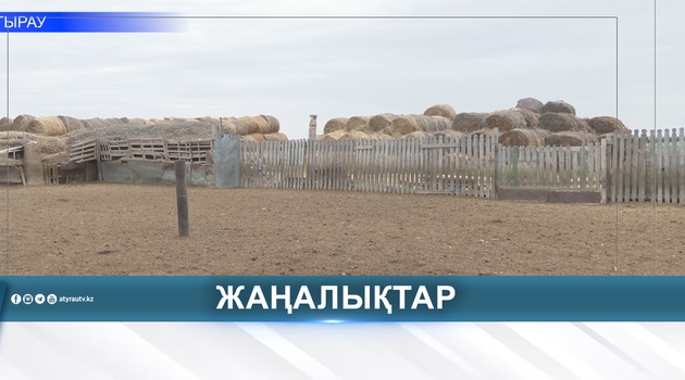 ВЕТЕРИНАРИЯ САЛАСЫНА ЦИФРЛЫҚ ЖҮЙЕ ЕНГІЗІЛІП ЖАТЫР