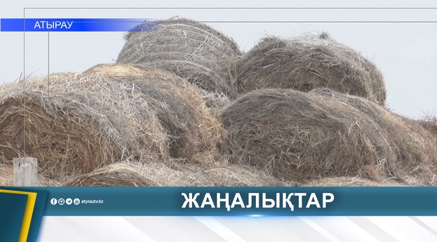 В ВЕТЕРИНАРНУЮ ОТРАСЛЬ ВНЕДРЯЮТ ЦИФРОВУЮ СИСТЕМУ