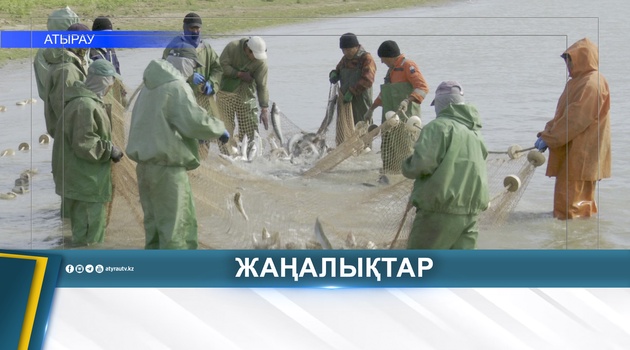ОСЕННИЙ СЕЗОН РЫБНОЙ ЛОВЛИ СТАРТОВАЛ В РЕГИОНЕ