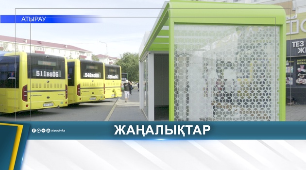 ОСТАНОВКИ, ЗАБИТЫЕ МУСОРОМ: В ЭТОМ ГОДУ ПОСТУПИЛО 160 ЖАЛОБ