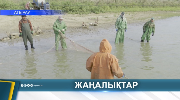 АТЫРАУДА 46 МИЛЛИОННАН АСТАМ БАЛЫҚ ҚҰТҚАРЫЛДЫ