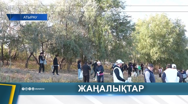 СТУДЕНТТЕР ЖАЙЫҚ ЖАҒАЛАУЫН ТАЗАЛАДЫ