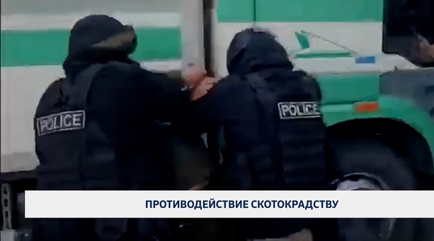 Противодействие скотокрадству