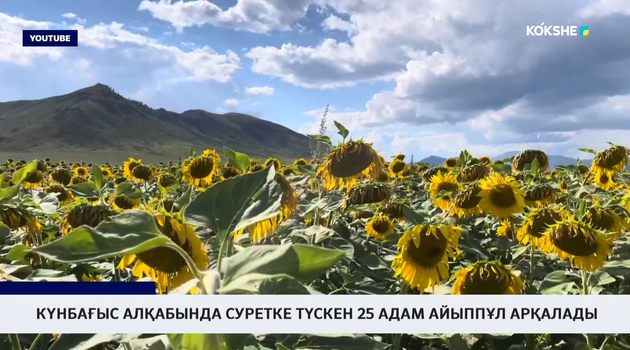 Күнбағыс алқабында суретке түскен 25 адам айыппұл арқалады