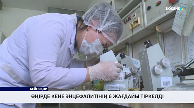 Өңірде кене энцефалитінің 6 жағдайы тіркелді
