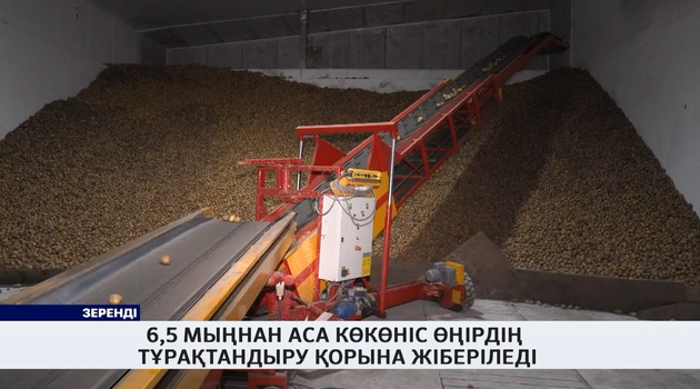 6,5 мыңнан аса көкөніс өңірдің тұрақтандыру қорына жіберіледі