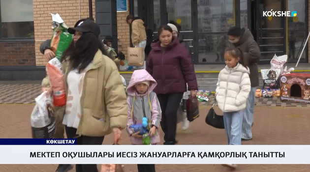 Мектеп оқушылары иесіз жануарларға қамқорлық танытты