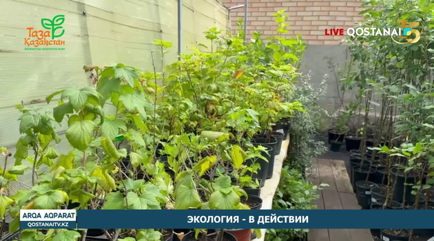 Экология - в действии