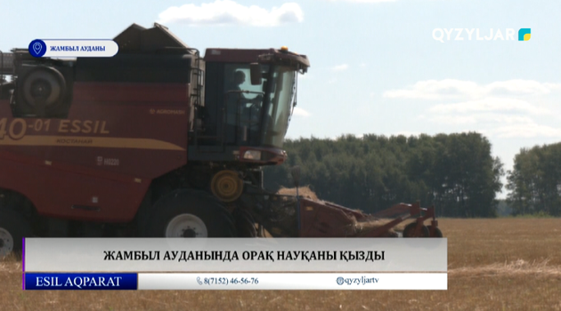 Жамбыл ауданында орақ науқаны қызды