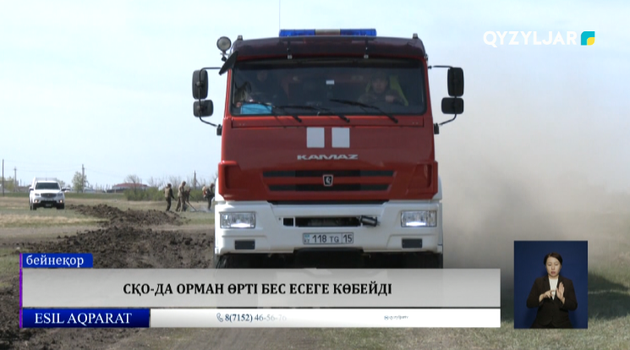 СҚО-да орман өрті бес есеге көбейді