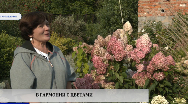 В гармонии с цветами