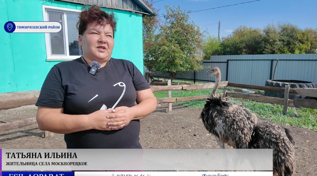 Пернатая экзотика