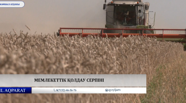 Мемлекеттік қолдау серпіні