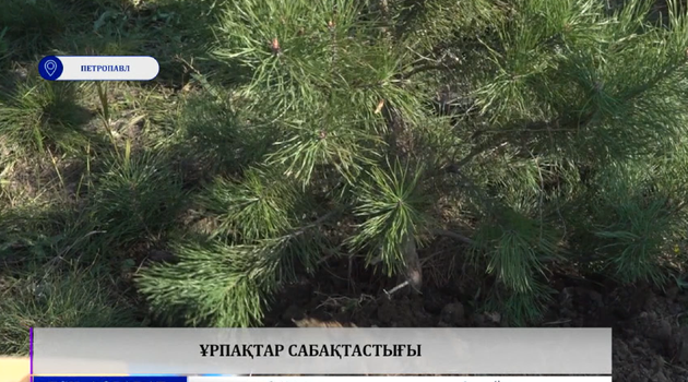 Ұрпақтар сабақтастығы