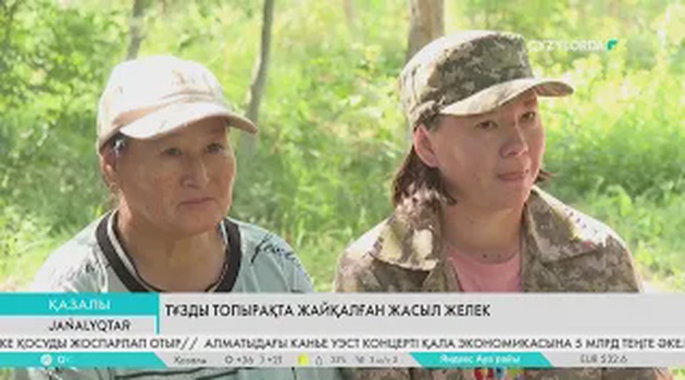 Тұзды топырақта жайқалған жасыл желек