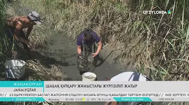 Шабақ құтқару жұмыстары жүргізіліп жатыр