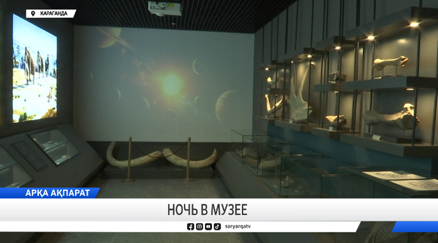 Ночь в музее