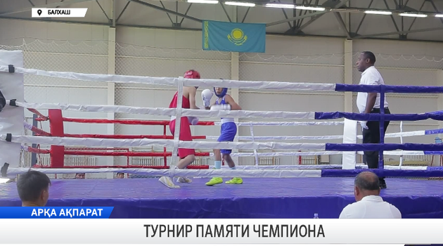 Турнир памяти чемпиона