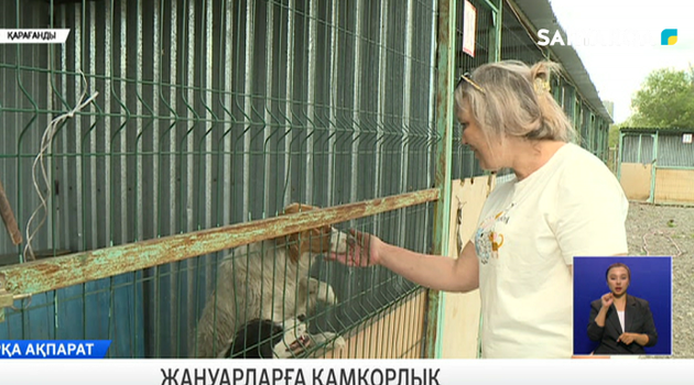 Жануарларға қамқорлық