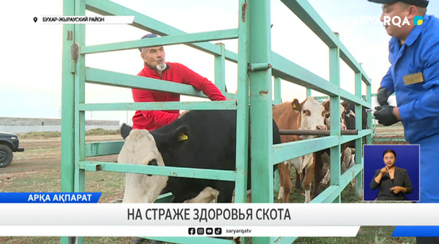 На страже здоровья скота