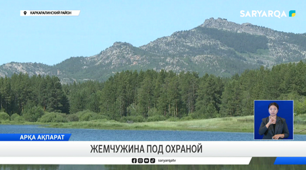 Жемчужина под охраной