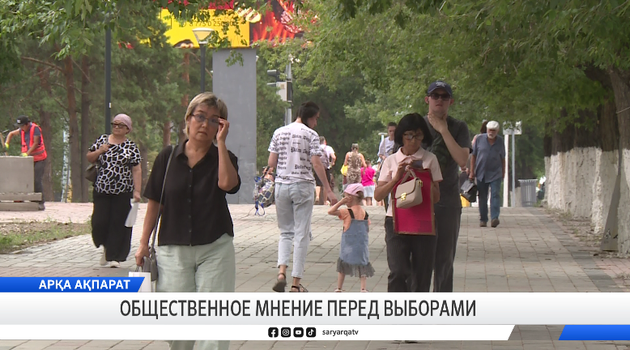 Общественное мнение перед выборами