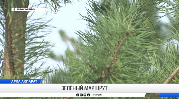 Зелёный маршрут
