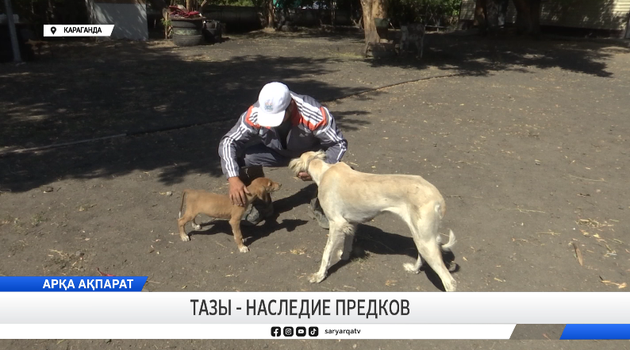 Тазы - наследие предков