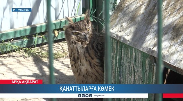 Қанаттыларға көмек 