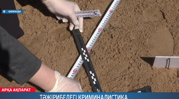 Тәжірибедегі криминалистика