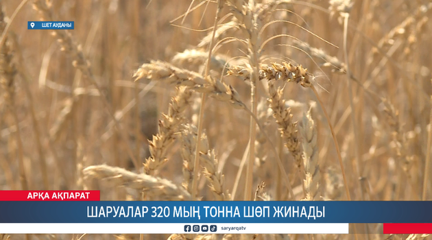 Шаруалар 320 мың тонна шөп жинады  