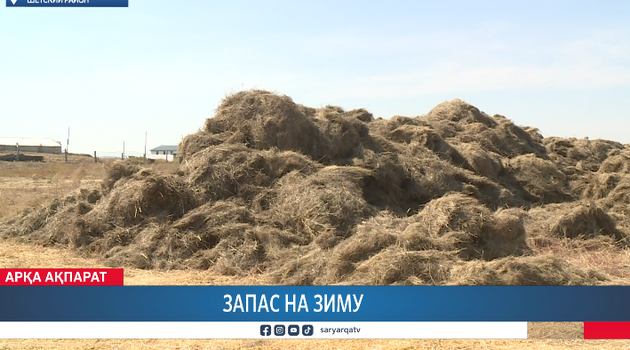 Запас на зиму 