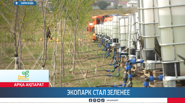 Экопарк стал зеленее 