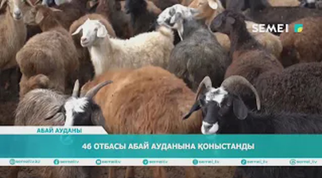 46 отбасы Абай ауданына қоныстанды 