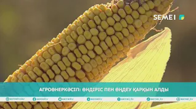 Агроөнеркәсіп: өндіріс пен өңдеу қарқын алды