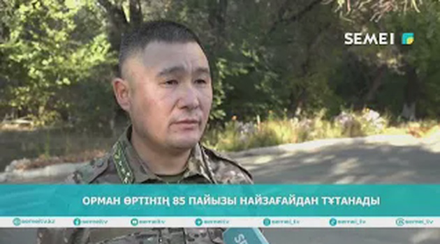 Орман өртінің 85 пайызы найзағайдан тұтанады                   